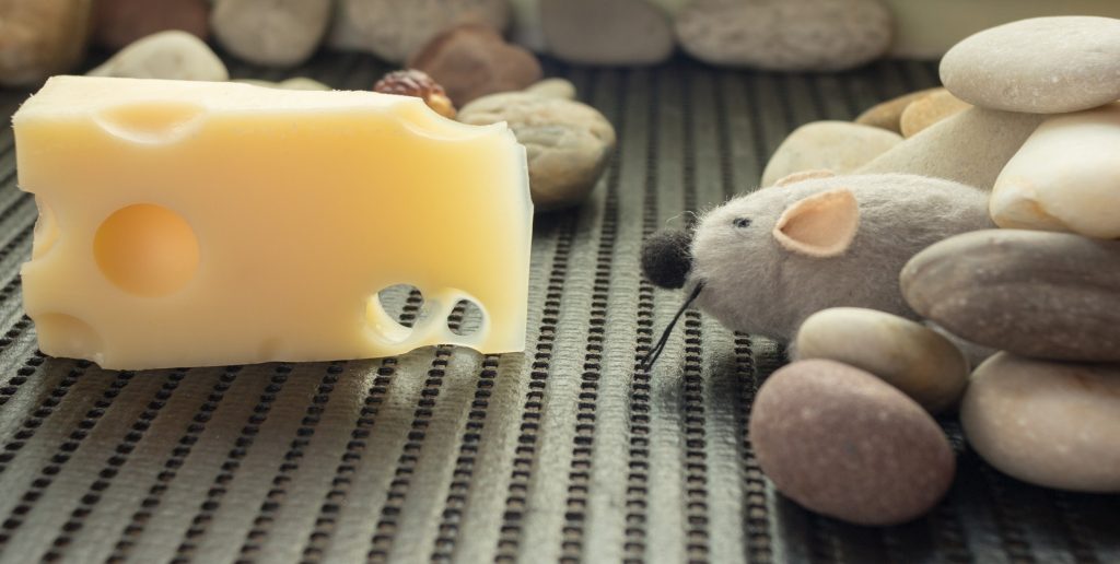 souris-peluche-fromage
